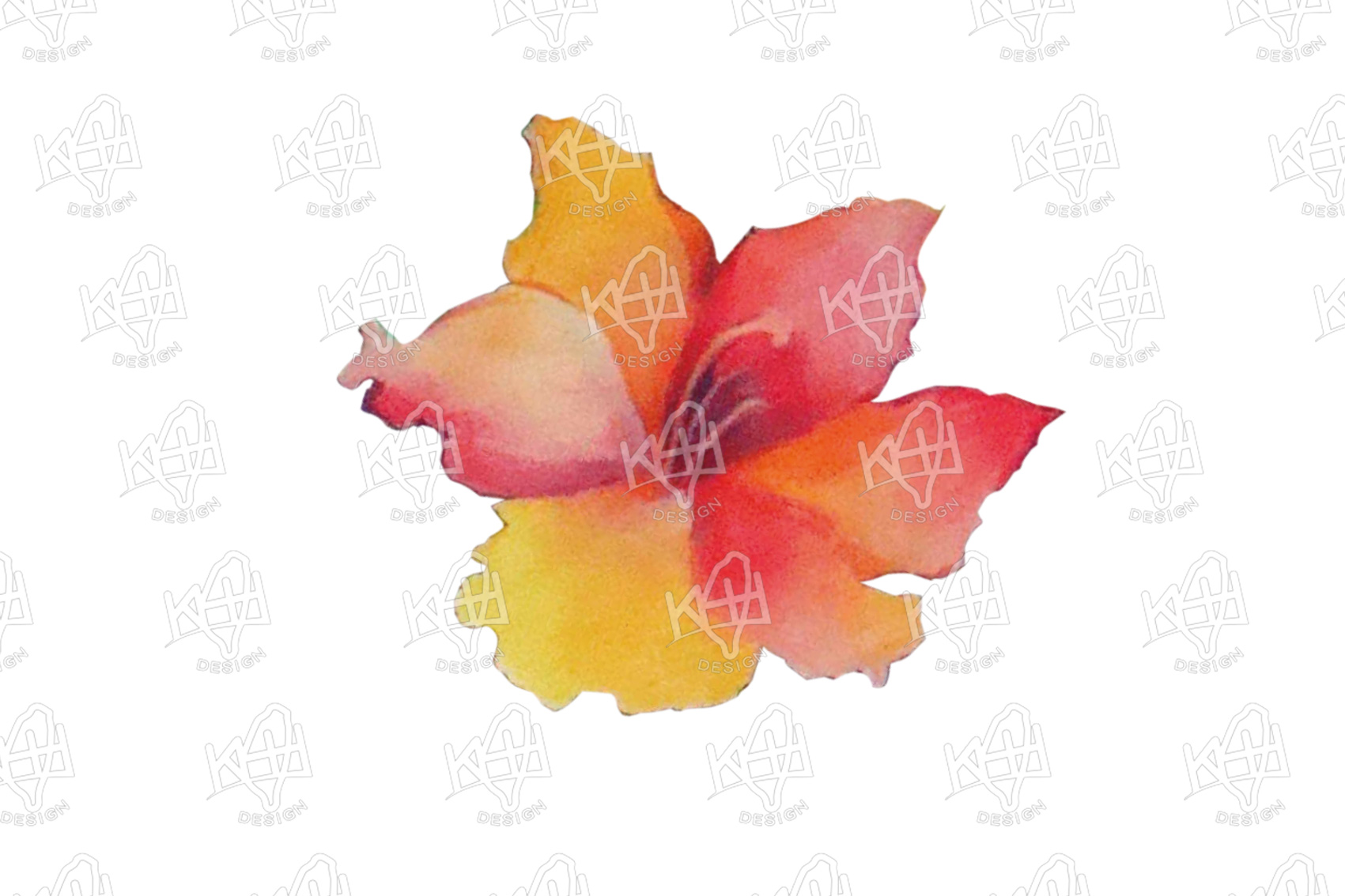 �x�W�Ӫ���c