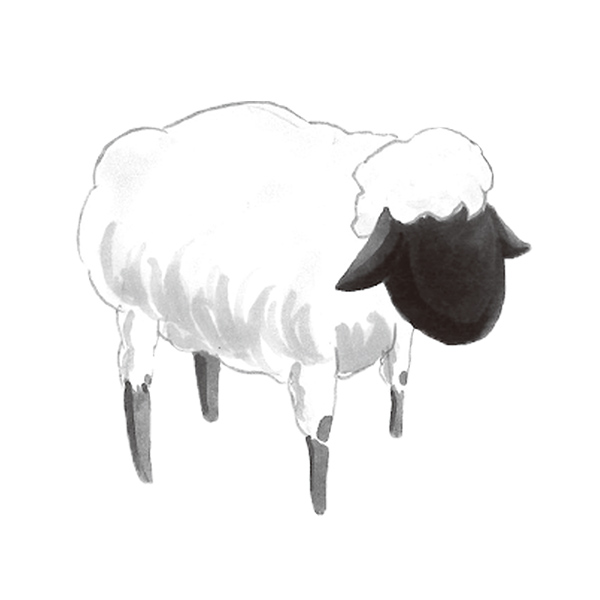 �M�Ҷ­���