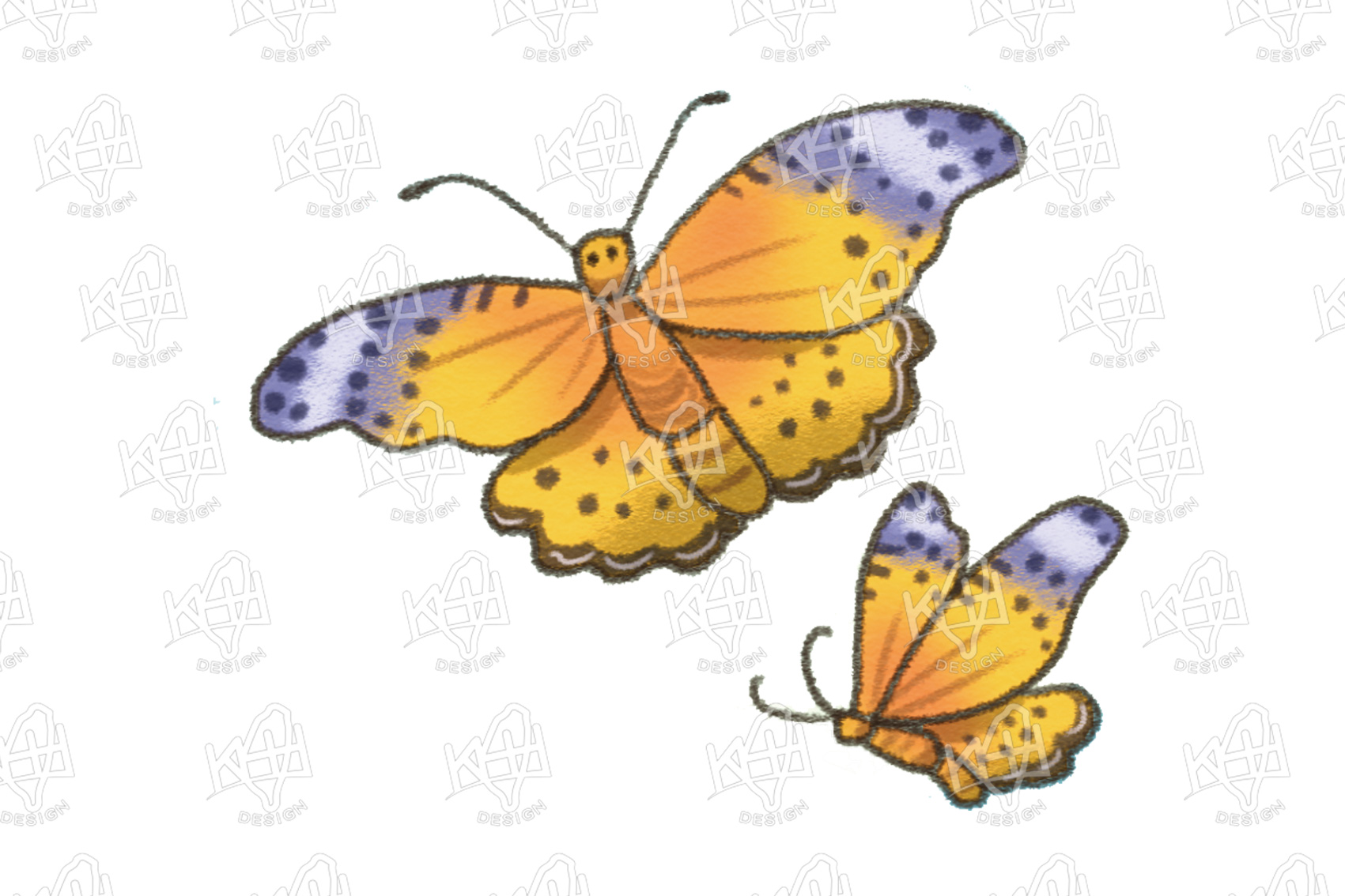 �x�W����