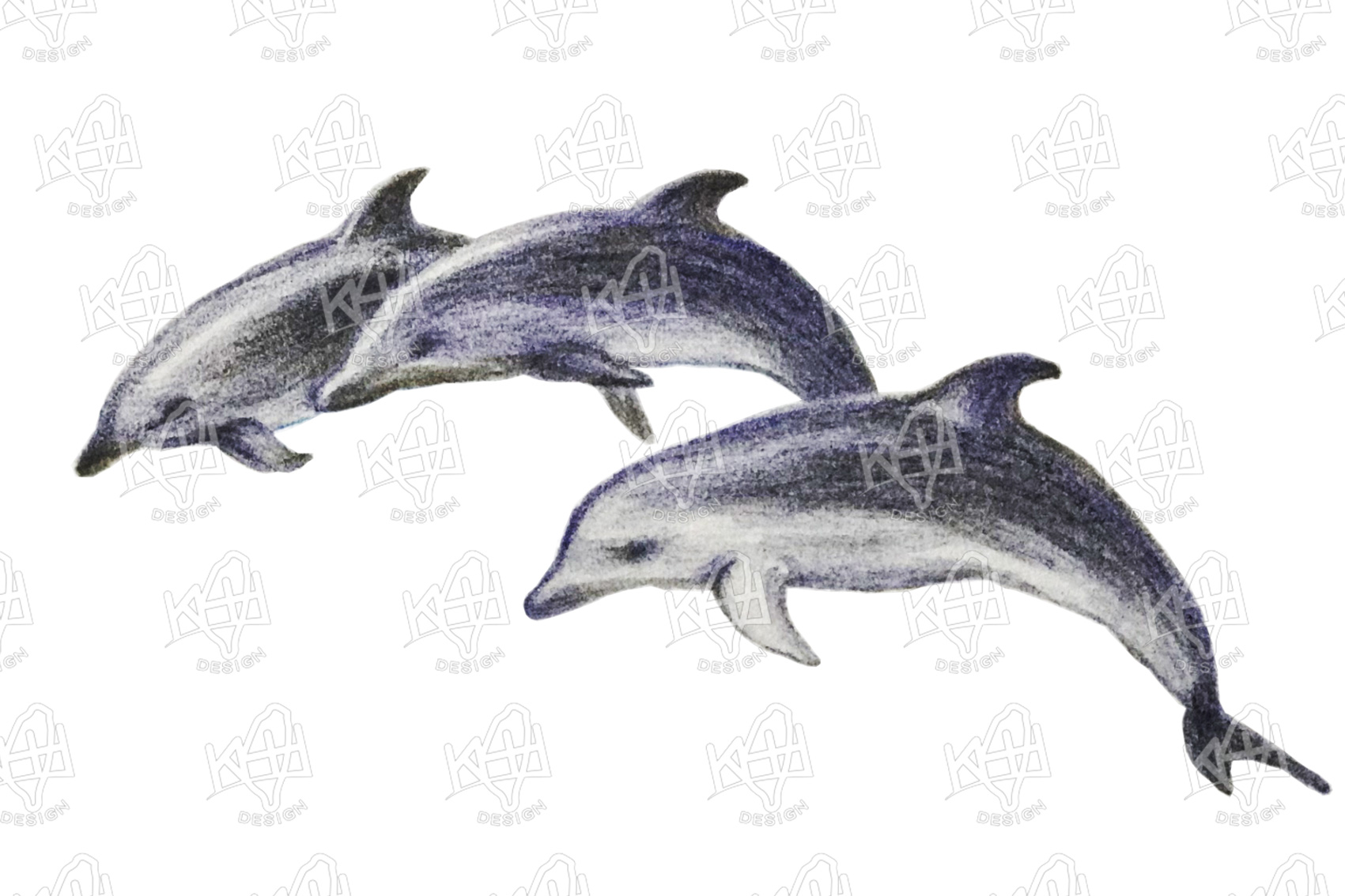 ���b���D