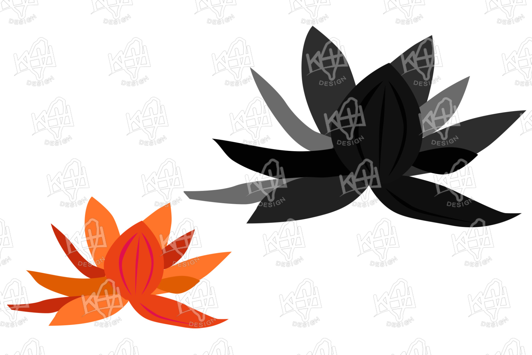 �x�W����