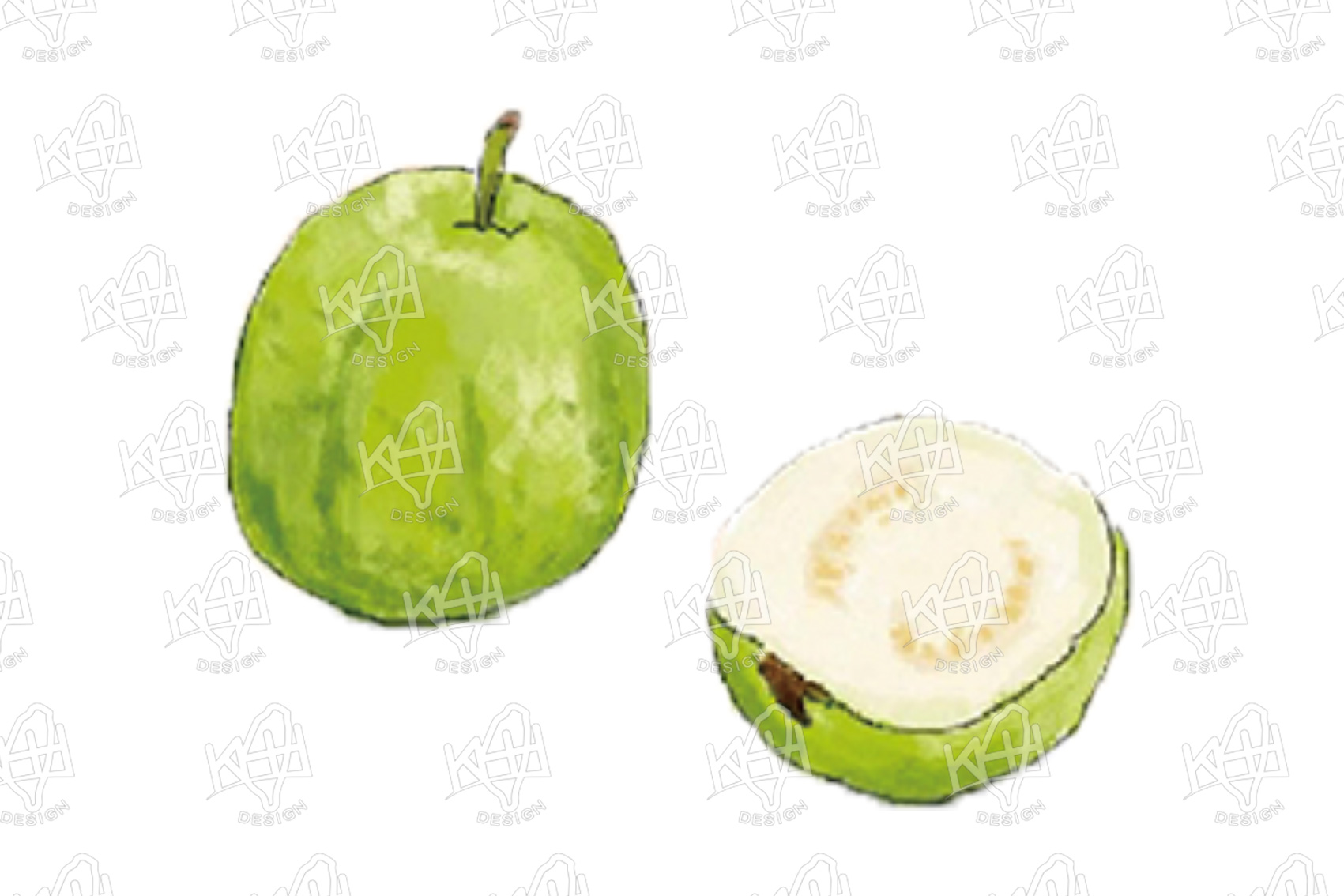 �x�W���G-�ݼ�